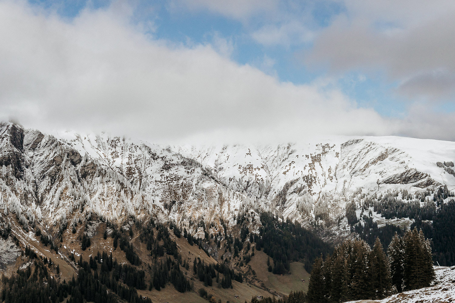 Website Webdesign seelenvolles Branding Selbstständigkeit Business helma fotografie grafik Webesigner Vision sichtbar machen Weidhaus Adelboden 8